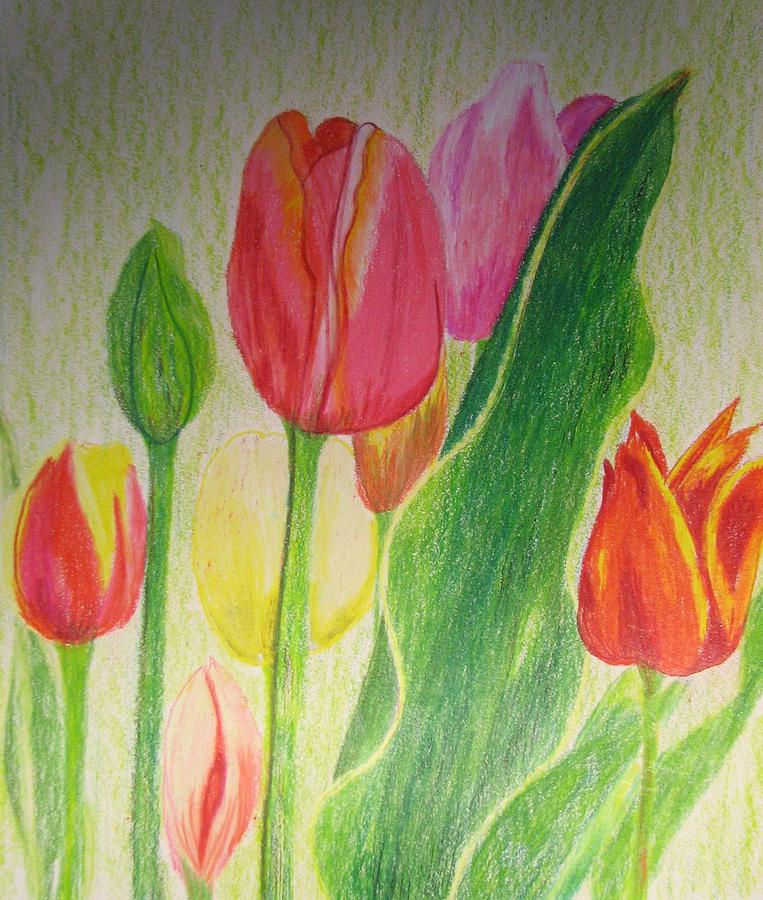 Tulips In Color by Paula Peltier