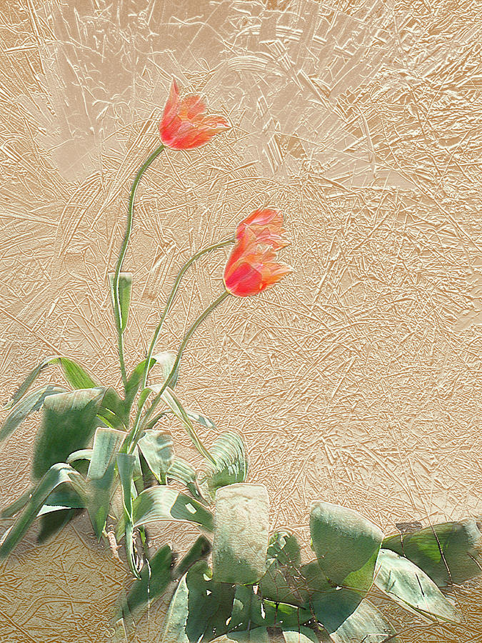 Tulips In Gold Leaf Mixed Media by Steve Karol