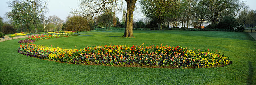 Hyde Park Photograph - Tulips In Hyde Park, City by Panoramic Images