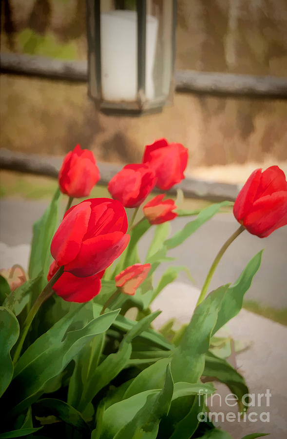 Tulips in the Garden - Watercolor Photograph by Bob and Nancy Kendrick