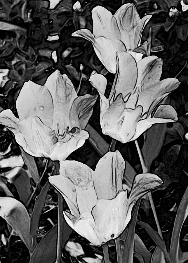 Tulip Photograph - Tulips by Joe Bledsoe
