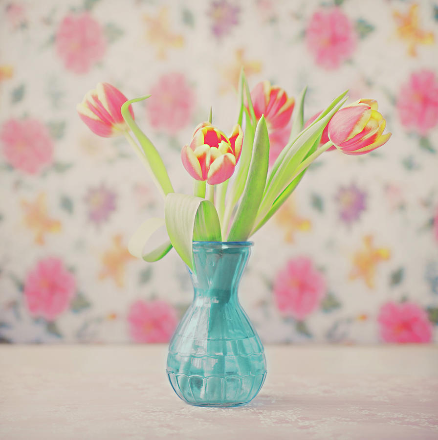 Tulips Photograph by Julia Davila-lampe