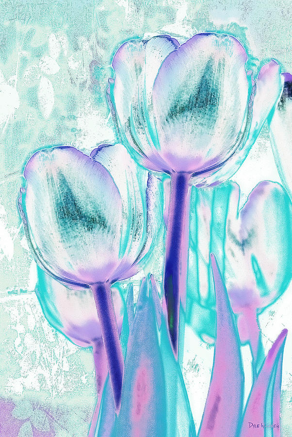 Tulips of a Different Color Photograph by Dyle   Warren