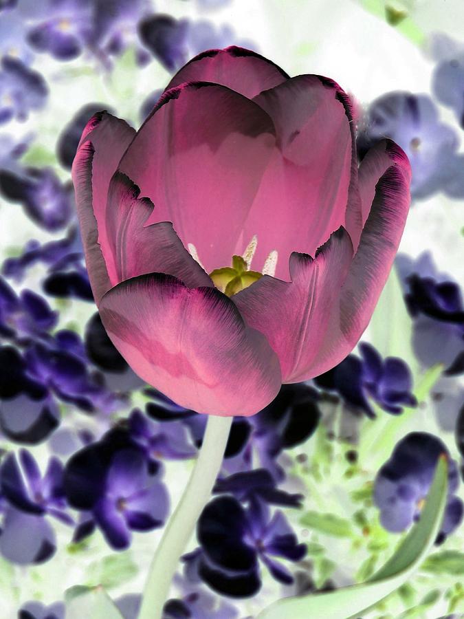 Tulips - Perfect Love - PhotoPower 2028 Photograph by Pamela Critchlow