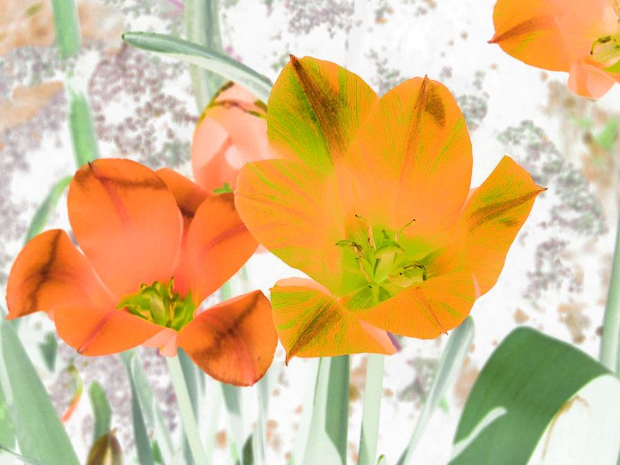 Tulips - Perfect Love - PhotoPower 2084 Photograph by Pamela Critchlow