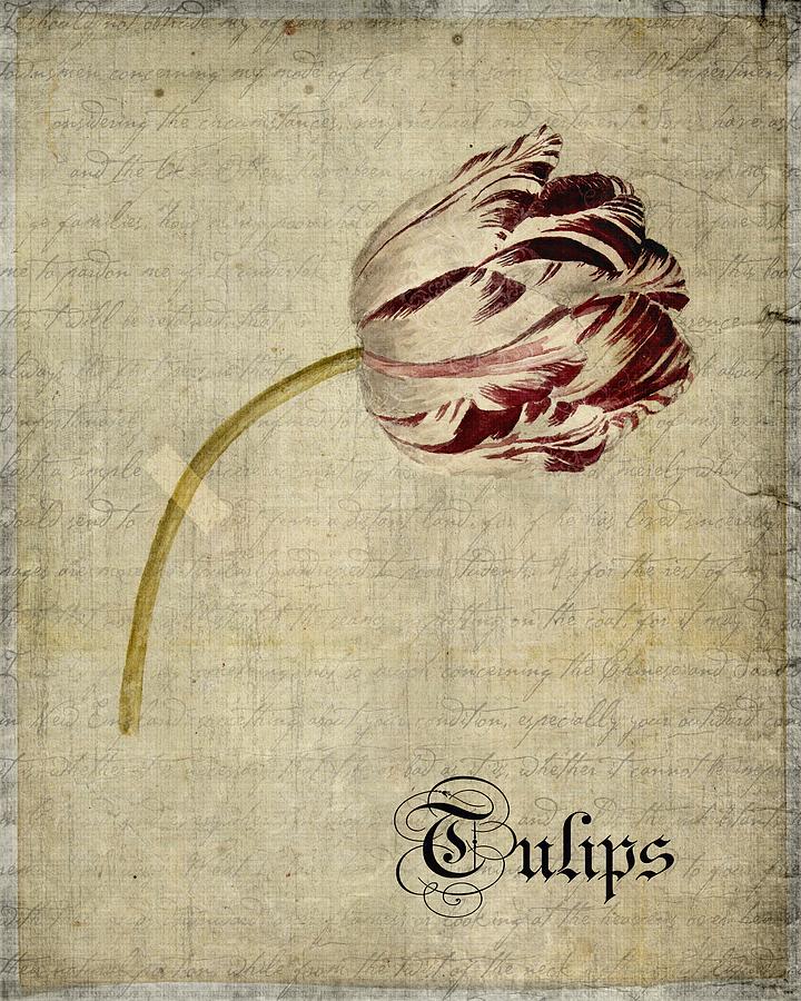 Vintage Digital Art - Tulips - s01bt2t by Variance Collections