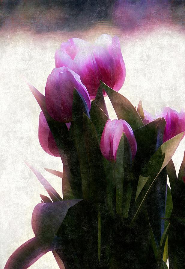 Tulip Photograph - Tulips  by Southern Tradition