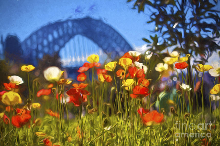 Poppy Photograph - Tulips with Harbour Bridge backdrop by Sheila Smart Fine Art Photography