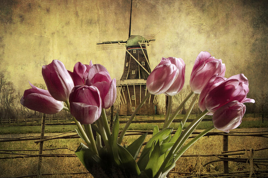 Tulips with the DeZwaan Windmill in Holland Michigan No. 105 Photograph by Randall Nyhof