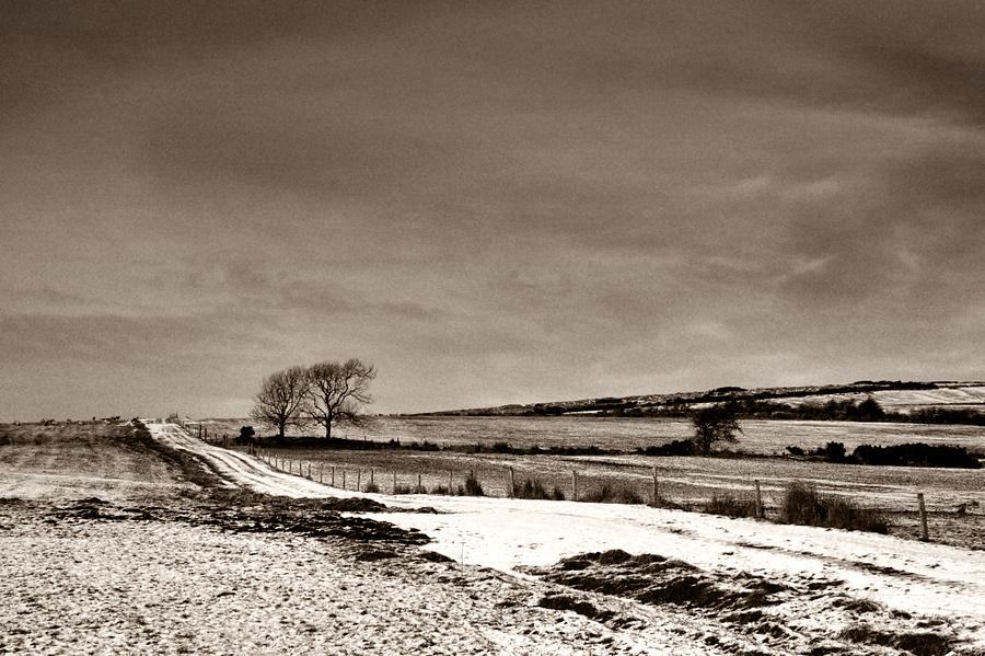 Tullig Vista Photograph by Mark Callanan - Fine Art America