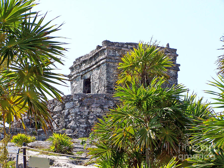 Mayan Photograph - Tulum Ruins of Mexico - 4 by Tom Doud
