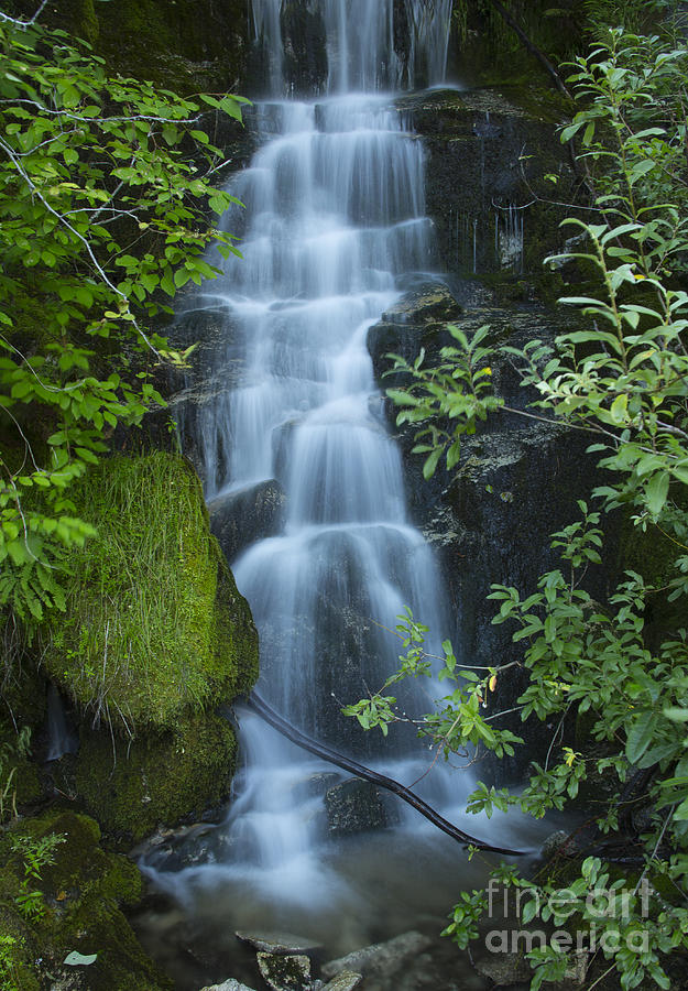 Tumble Creek Falls Photograph by Idaho Scenic Images Linda Lantzy