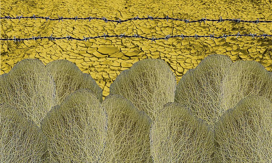 Tumble Weed Barbed Wire in Gold Photograph by Suzanne Powers