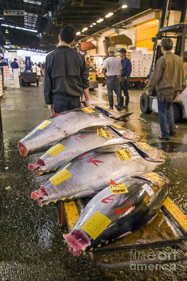 Fish Market Photograph - Tuna Cart by Scott Kerrigan