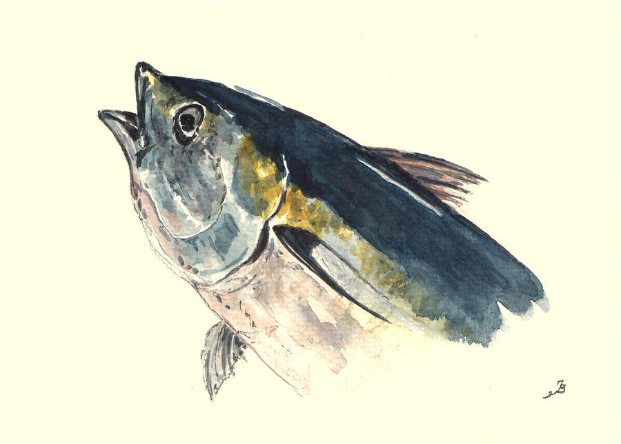 Fish Painting - Tuna fish by Juan  Bosco