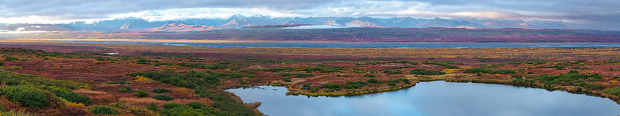 Denali National Park Photograph - Tundra Landscape, Denali National Park by Panoramic Images