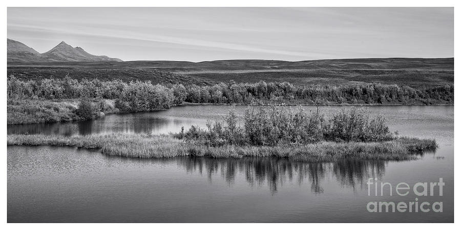 Black And White Photograph - Tundra Pond Reflections by Priska Wettstein