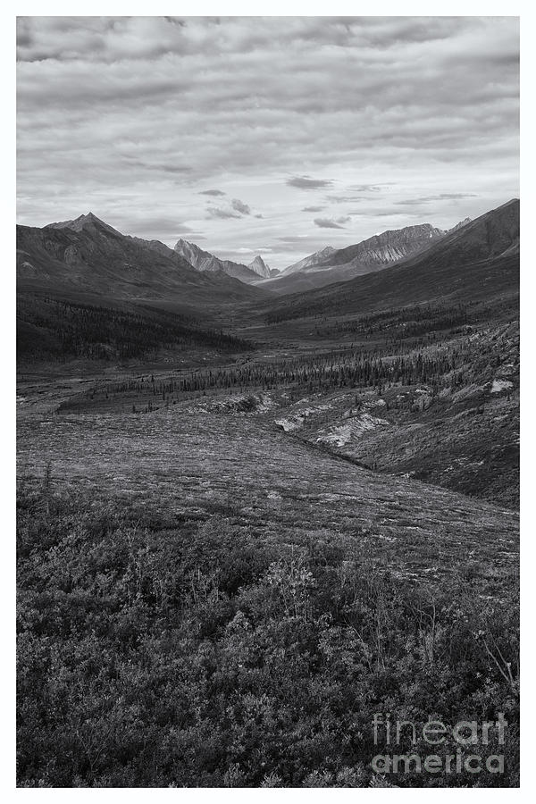 Mountain Photograph - Tundra Valley by Priska Wettstein