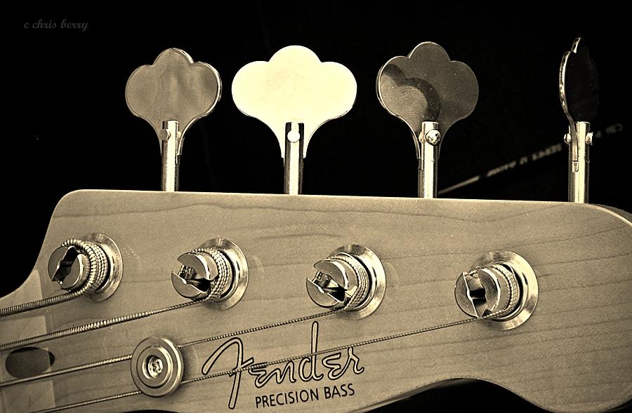 Bass Photograph -  Fender Precision Bass Head by Chris Berry