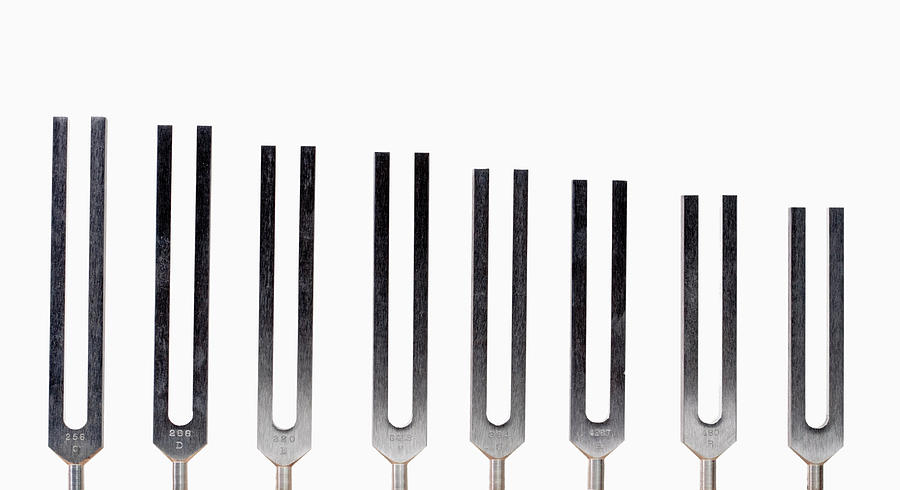 Octave Photograph - Tuning Forks by Science Stock Photography/science Photo Library