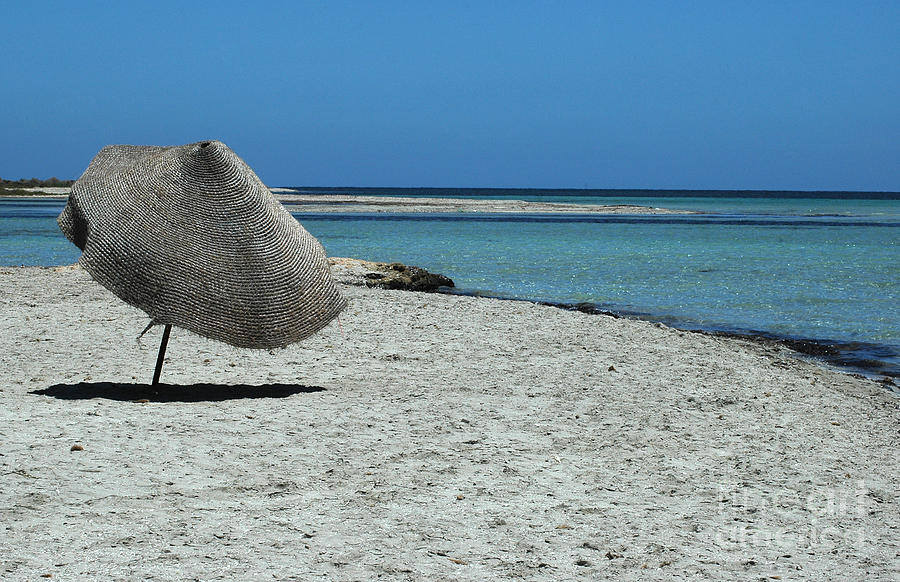 Tunisian Island Photograph by Randi Grace Nilsberg