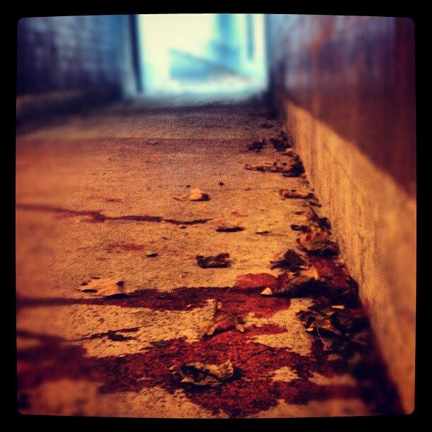 Instagram Photograph - #tunnel #blood #stain #stains #stained by Jill Battaglia