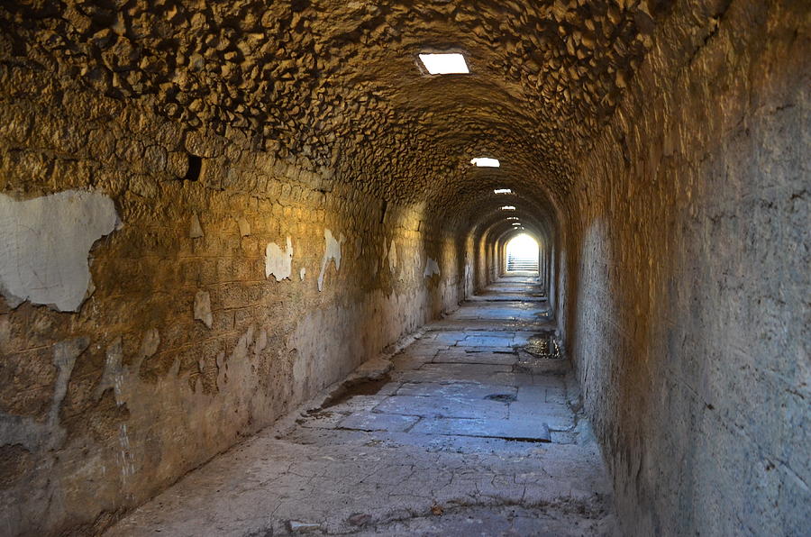 Tunnel In Roman Ruins Pergamon Photograph by David Dawson Image