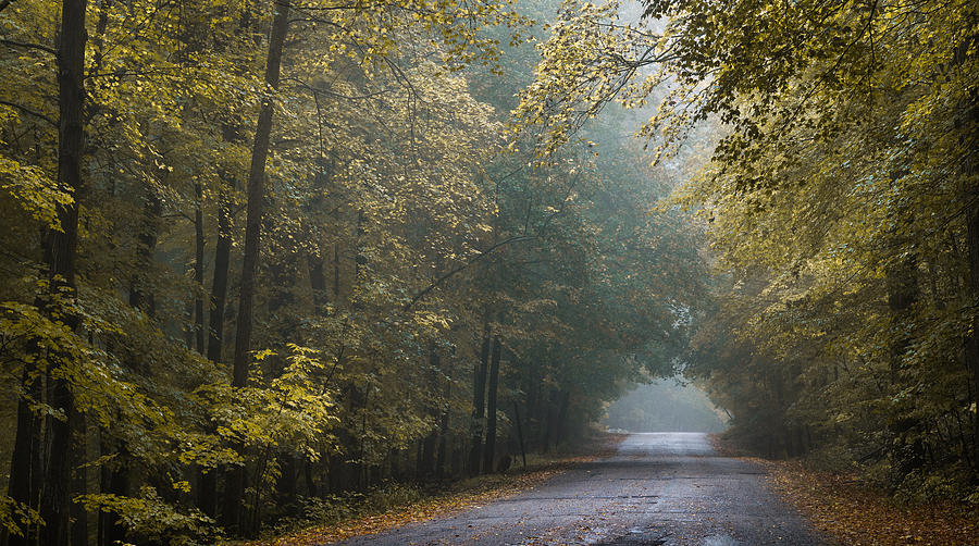 Tunnel Of Gold Photograph By Josh Eral - Fine Art America