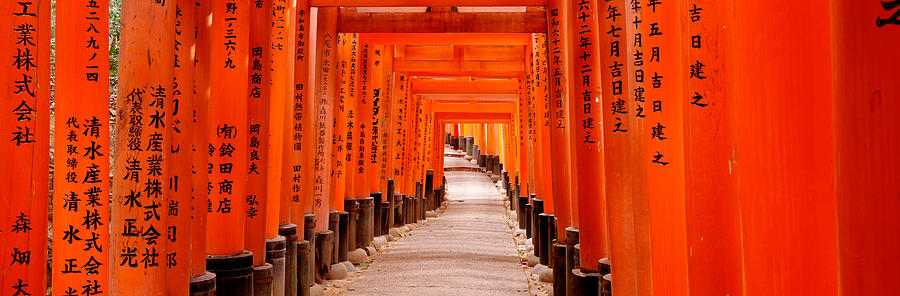 Color Image Photograph - Tunnel Of Torii Gates, Fushimi Inari by Panoramic Images