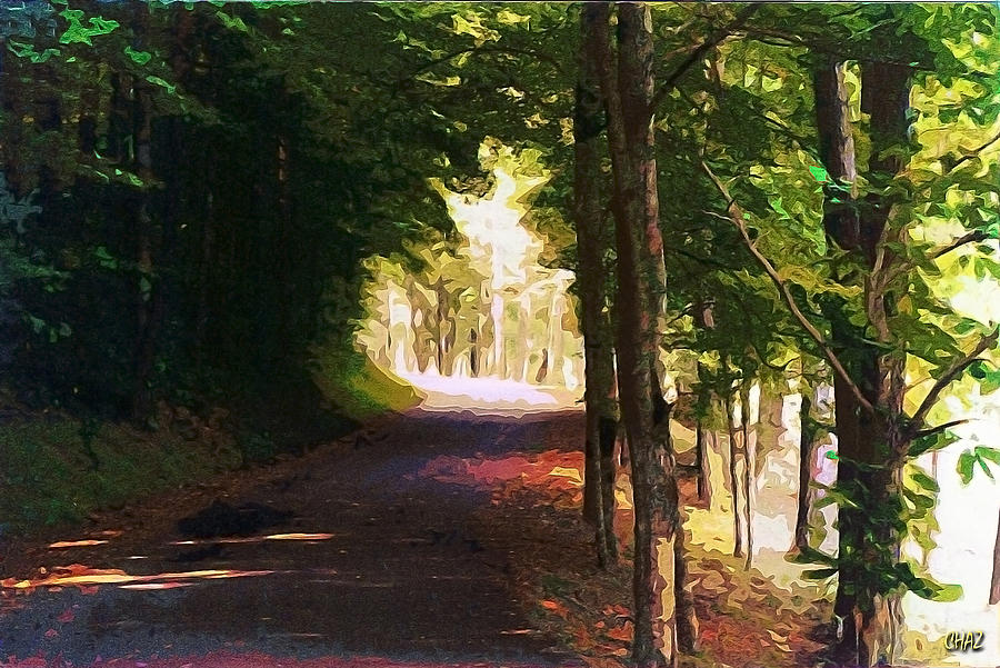 Tunnel of Trees Painting by CHAZ Daugherty