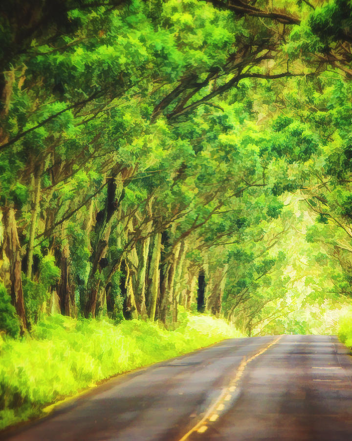 Tree Photograph - Tunnel of Trees in Kauai by Vicki Jauron