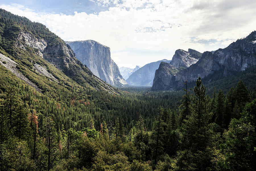 Tunnel View In Yosemite Photograph by Heath Holden Tunnel View In Yosemite Photograph by Heath Holden