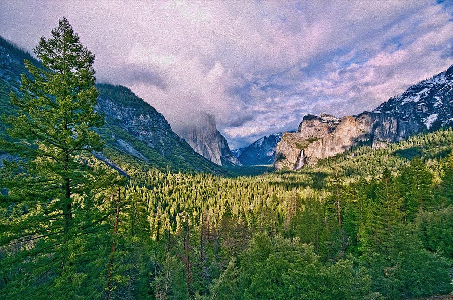 Yosemite National Park Photograph - Natures Symphony by Maria Coulson