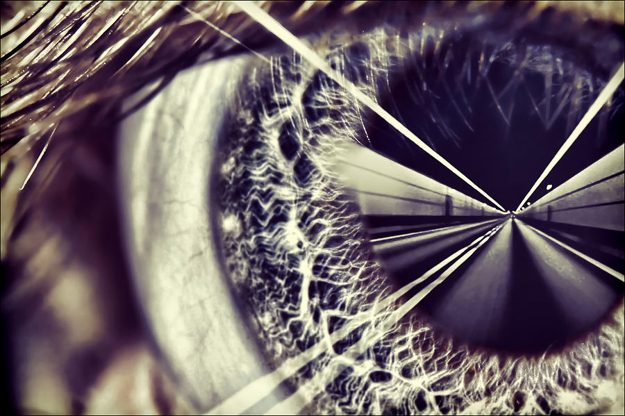 Iris Photograph - Tunnel Vision by EXparte SE