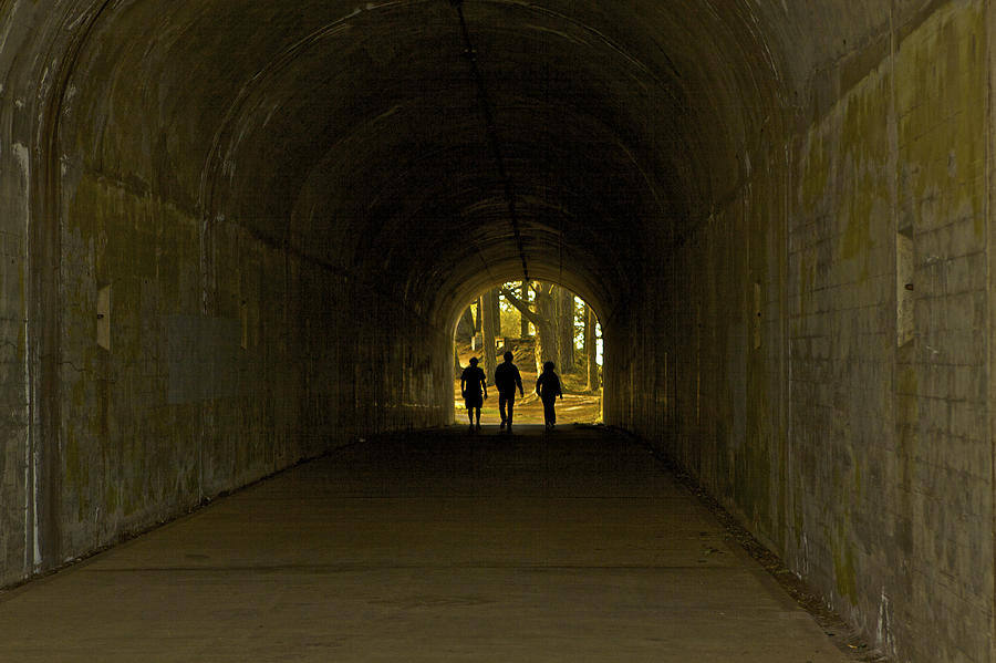 Tunnel Vision Trio Photograph by SC Heffner