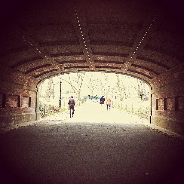 Tree Photograph - #tunnel #walk #walkway #path #people by Scott Brash