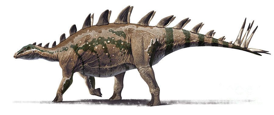 Tuojiangosaurus Multispinus Dinosaur Digital Art by Roman Garcia Mora ...