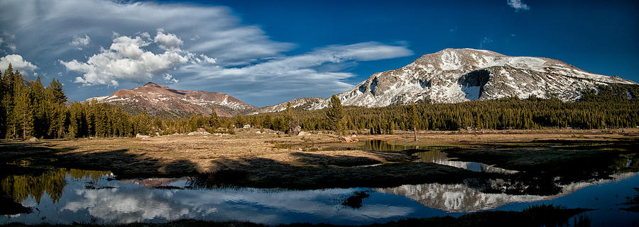 Yosemite National Park Photograph - Tuolumne Meadows by Cat Connor