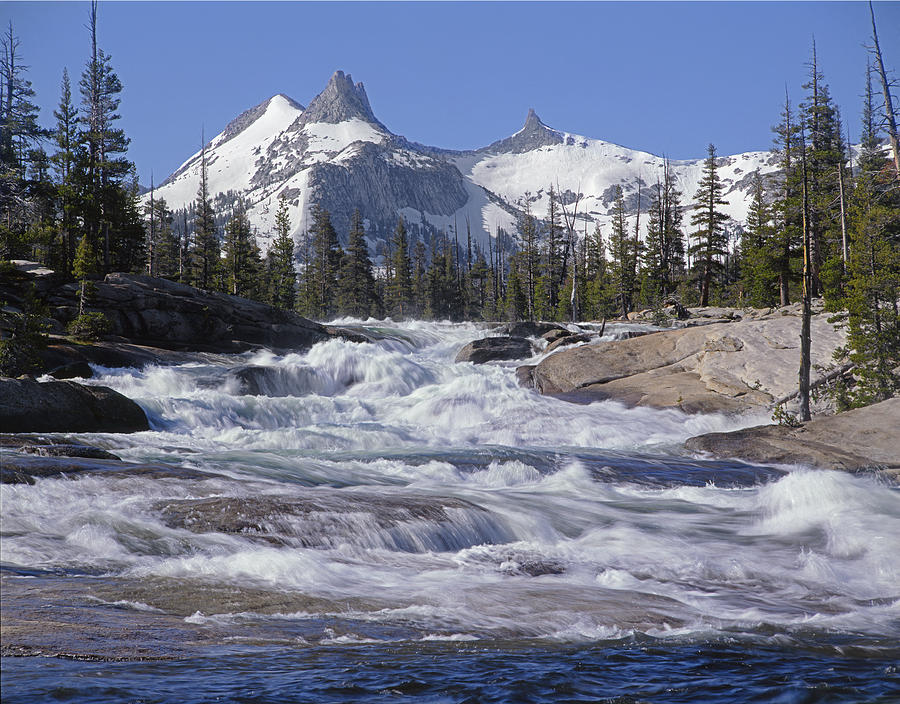 Yosemite National Park Photograph - 6M6539-Tuolumne River  by Ed  Cooper Photography