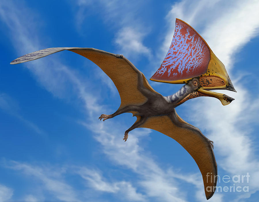 Tupandactylus Imperator, A Pterosaur Digital Art by Sergey Krasovskiy