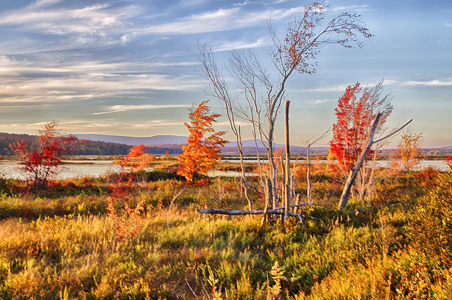 Tupper Lake Afternoon HDR Photograph by Jim Dollar