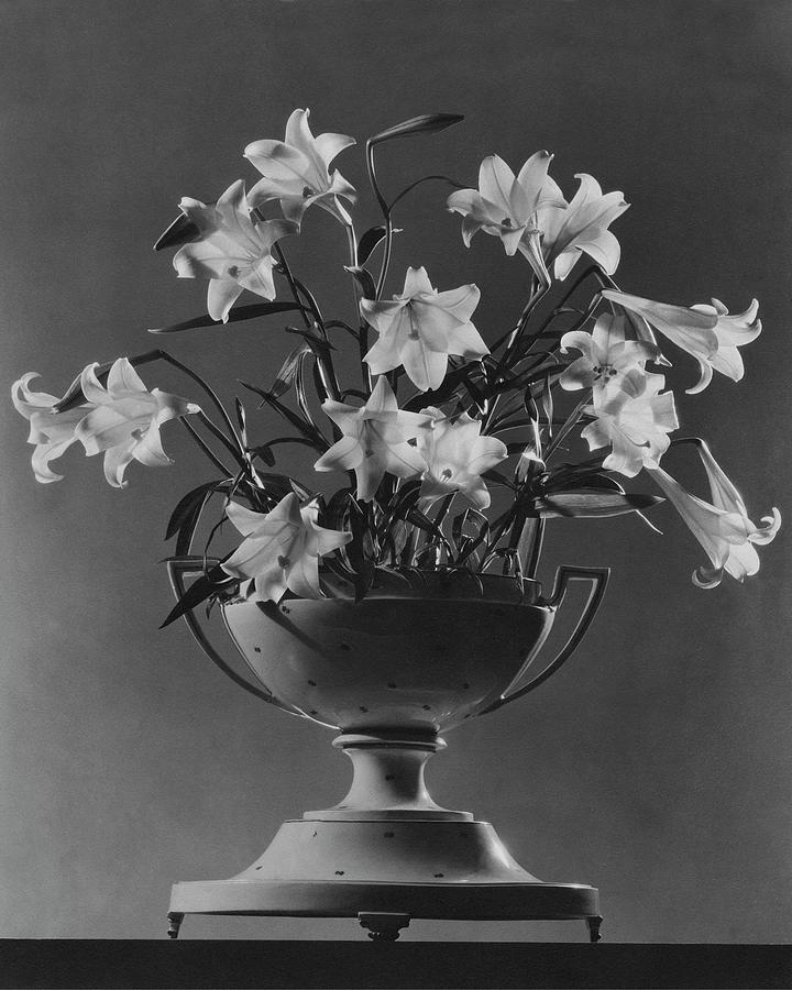 Tureen With Lilies Photograph by  The 3