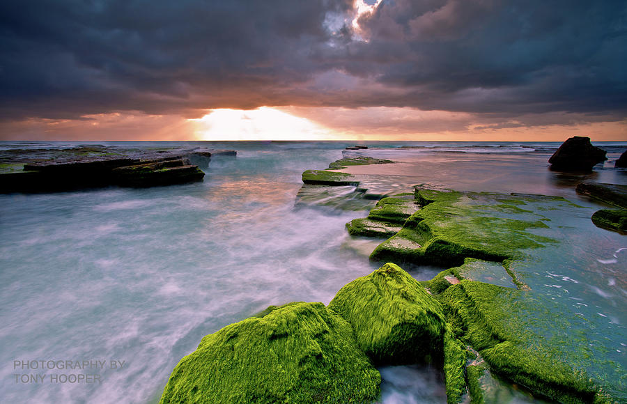 Turimetta Beach Sunrise by Anthony Hooper