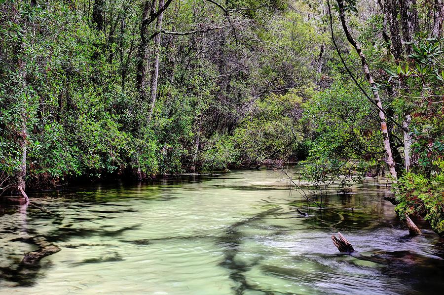 Turkey Creek Photograph - Turkey Creek Niceville by JC Findley