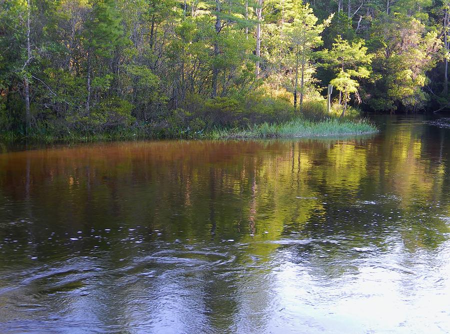 Turkey Creek Park Light Photograph by Warren Thompson - Fine Art America