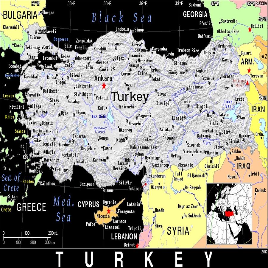 Turkey Exotic Map Mixed Media by Florene Welebny