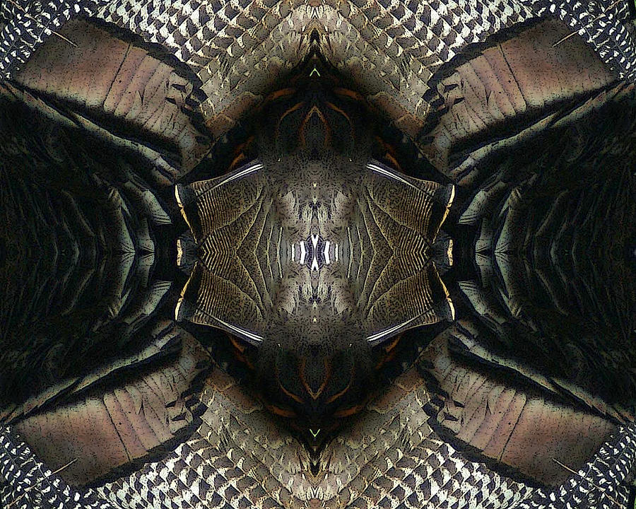 Turkey Feathers Kaleidoscope Digital Art by TnBackroadsPhotos 
