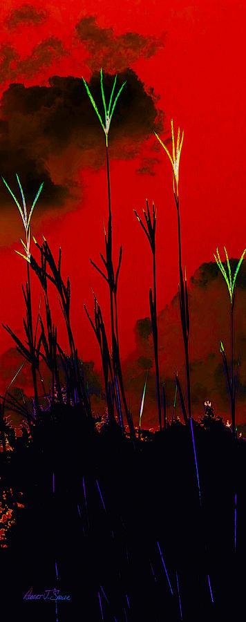 Turkey Foot Grass Abstract - Conflagration Photograph by Robert J Sadler
