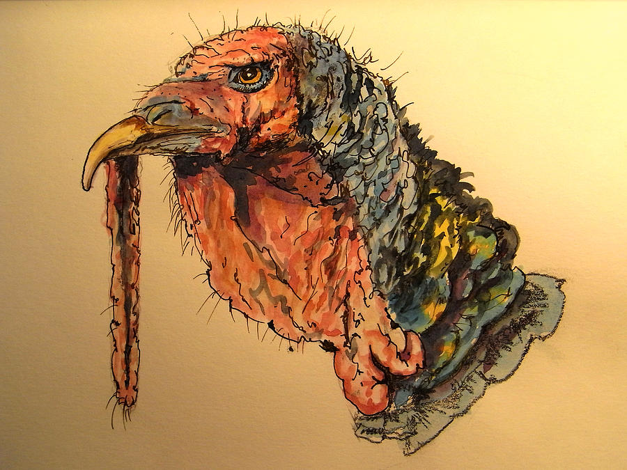 Turkey Painting - Turkey head bird by Juan  Bosco
