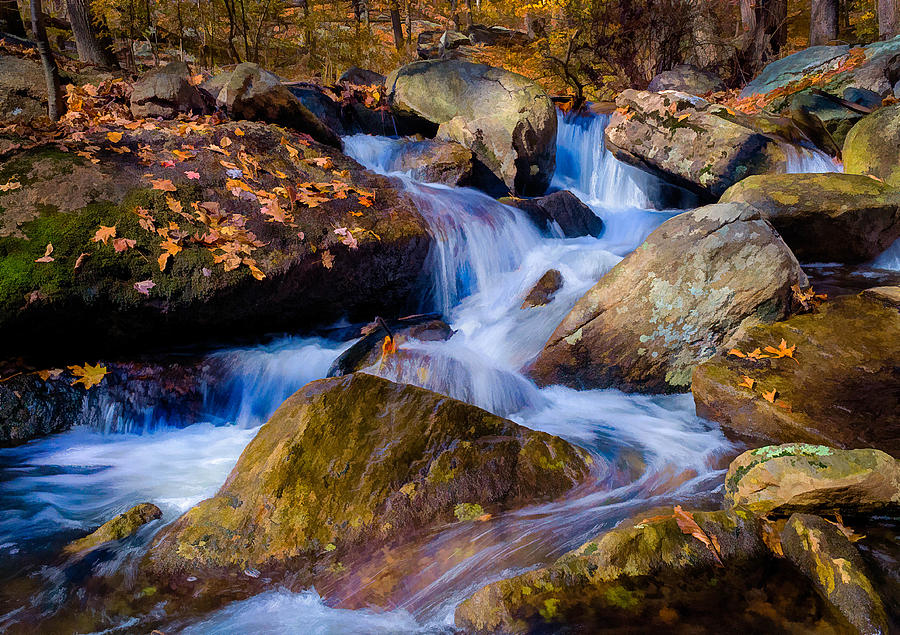 Turkey Hill Pond Stream Photograph by Steve Zimic